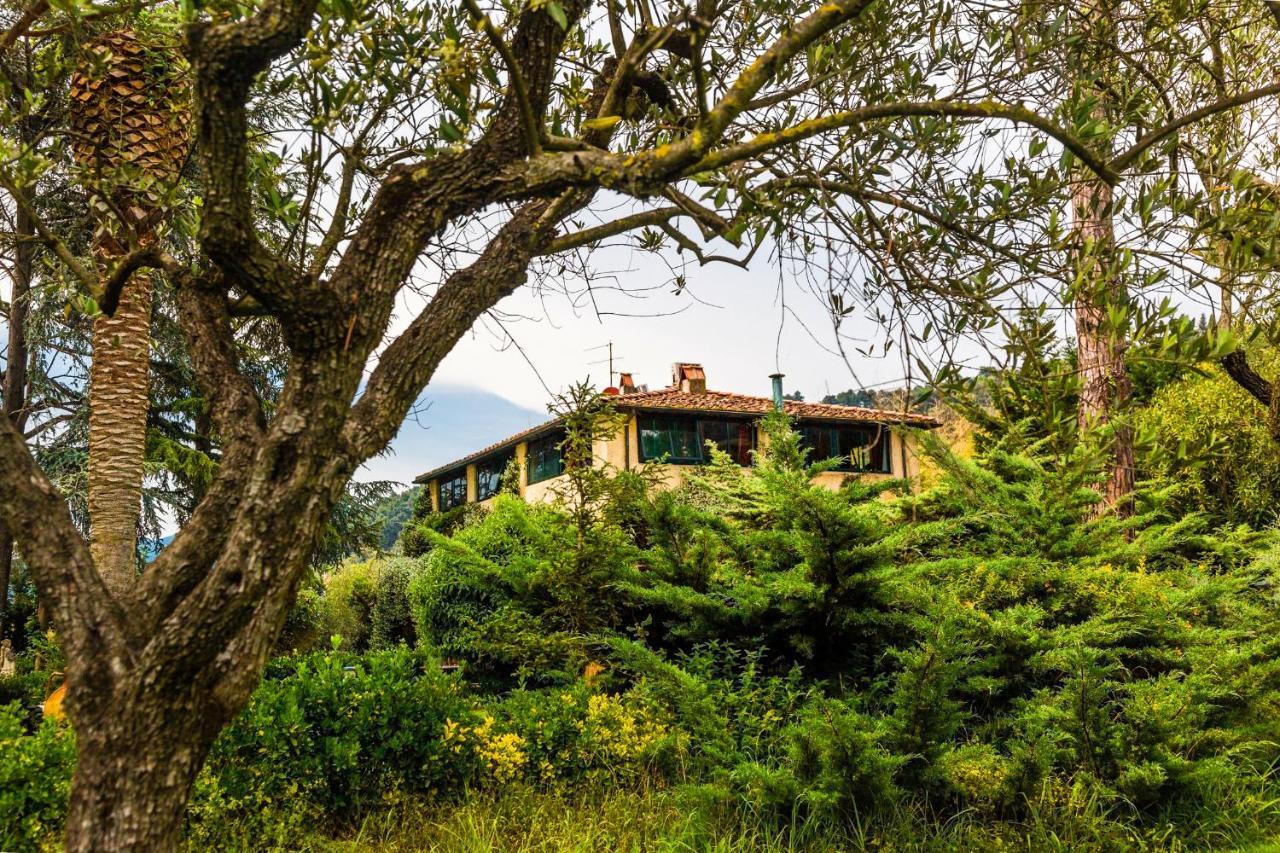 Bed and Breakfast Casa Matilde Mommio Exterior foto
